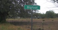 bigfoot