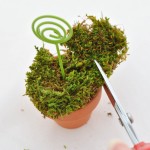 Add sheet moss to top of pot